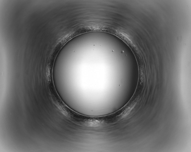 X0000086880453200704300940