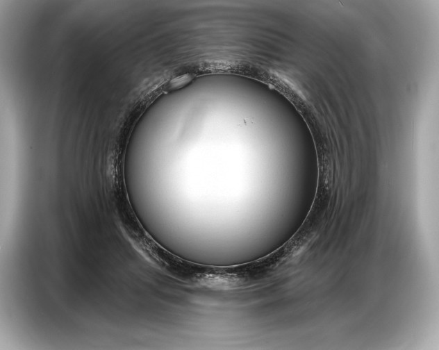 X0000086880455200704300940