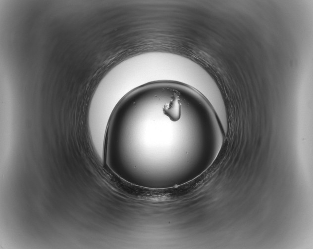 X0000086880456200704300940