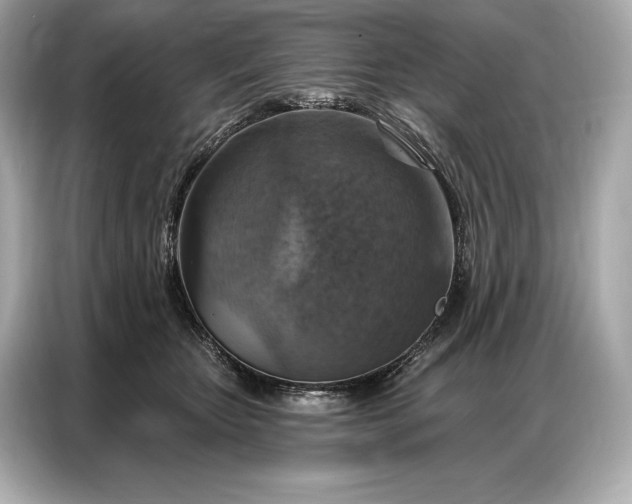 X0000086880467200704300940