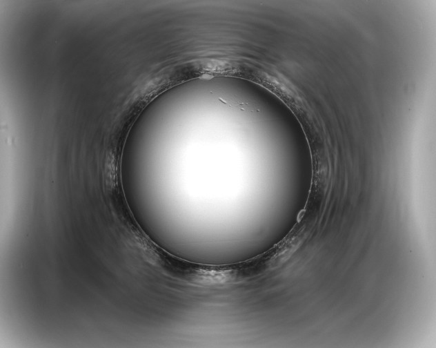 X0000086880469200704300940