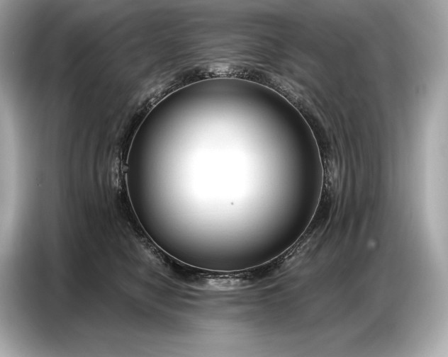 X0000086880470200704300940