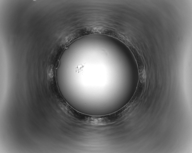 X0000086880472200704300940