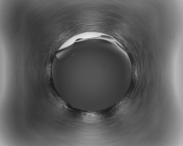 X0000086880475200704300940