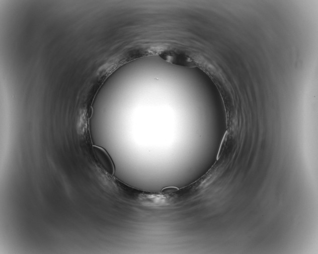 X0000086880478200704300940