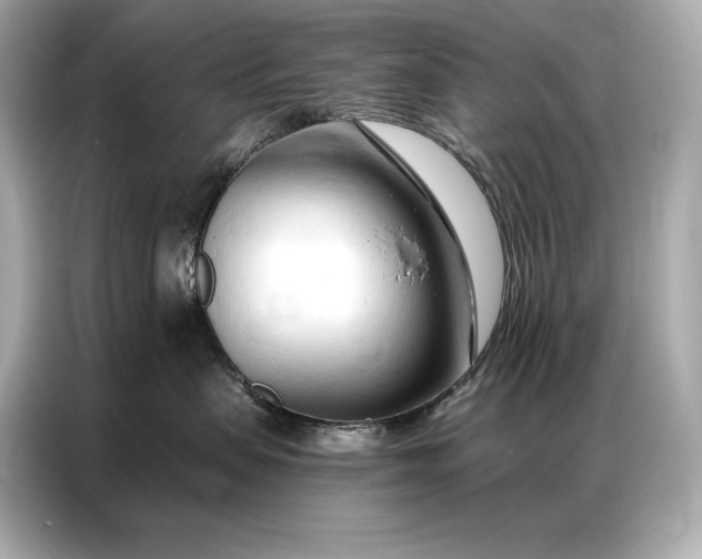 X0000086880479200704300940