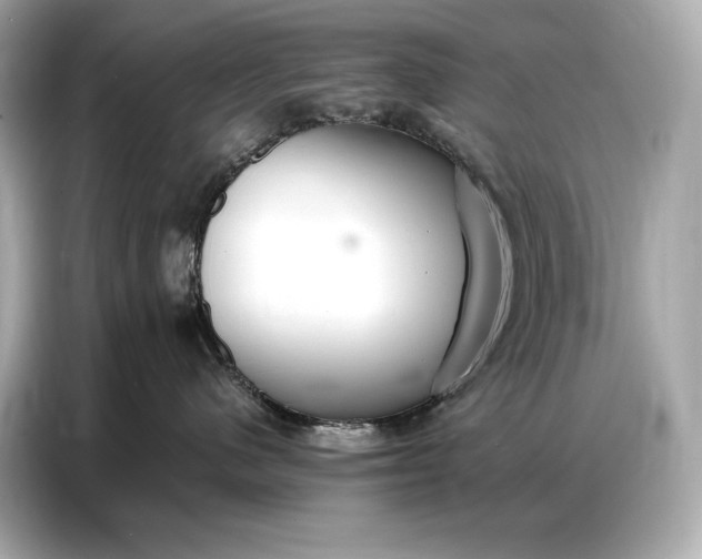 X0000086880480200704300940