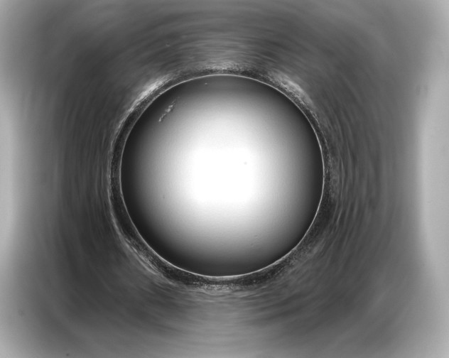 X0000086880482200704300940