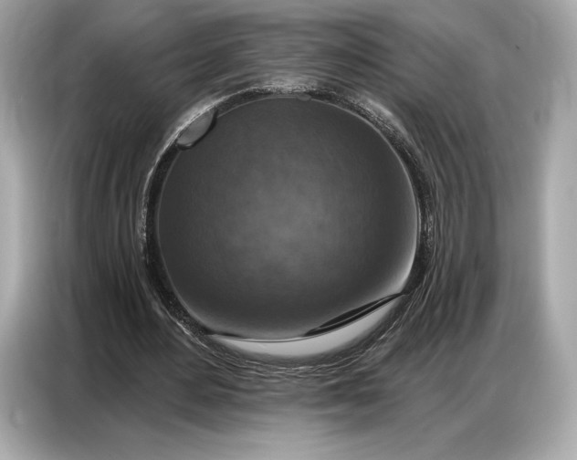 X0000086880484200704300940