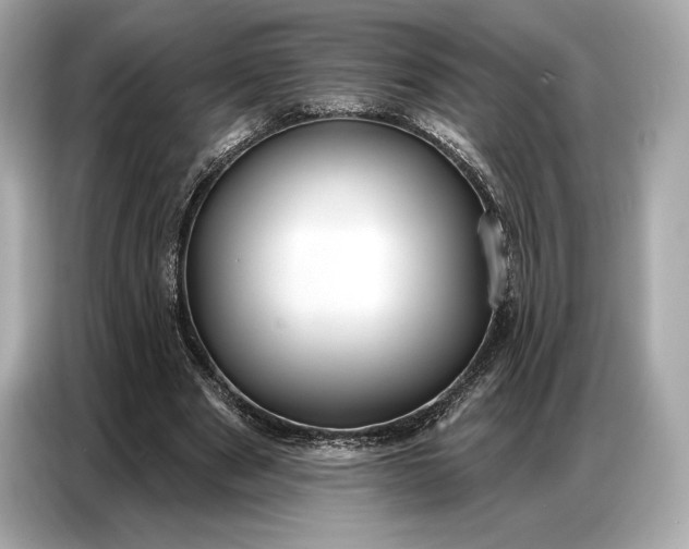 X0000086880489200704300940