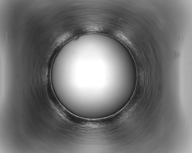 X0000086880490200704300940