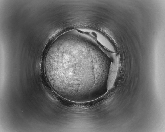 X0000086880491200704300940