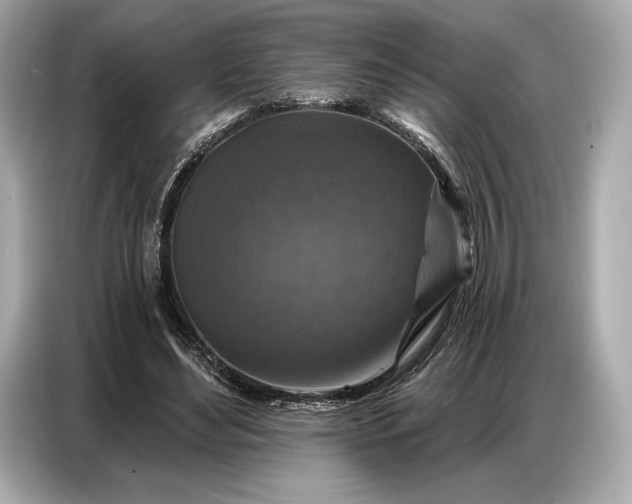 X0000086880492200704300940