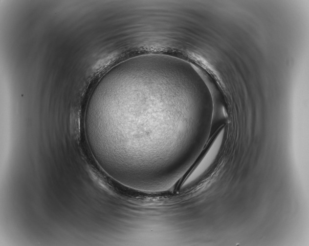 X0000086880493200704300940