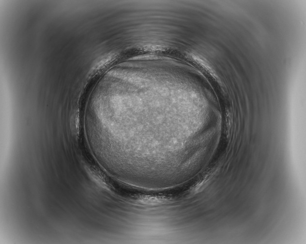 X0000086880494200704300940