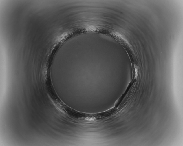 X0000086880496200704300940