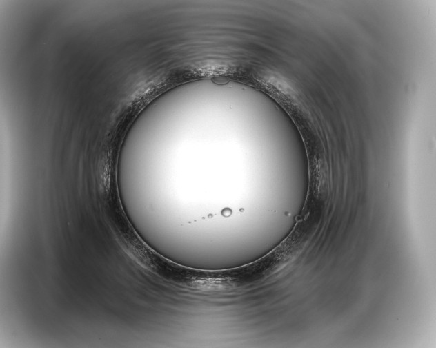 X0000086880499200704300940