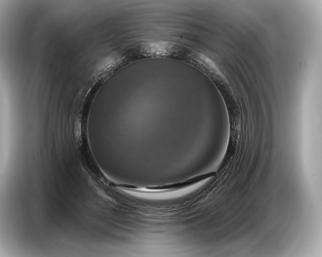 X0000086880500200704300940