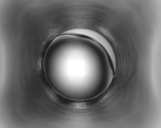 X0000086880501200704300939