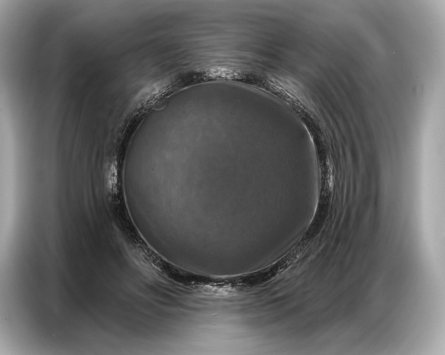 X0000086880502200704300939