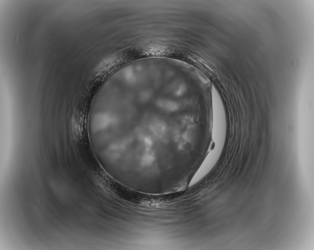 X0000086880503200704300939