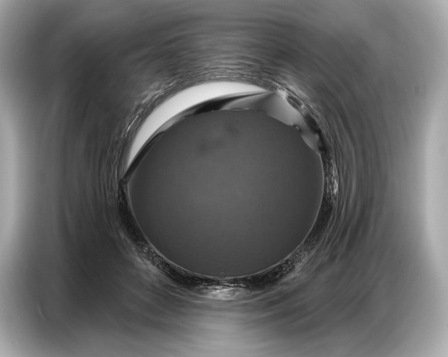 X0000086880504200704300939