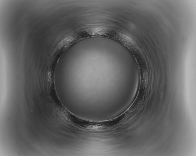 X0000086880506200704300939