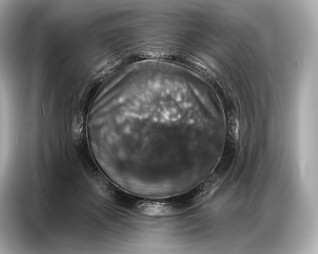 X0000086880507200704300939