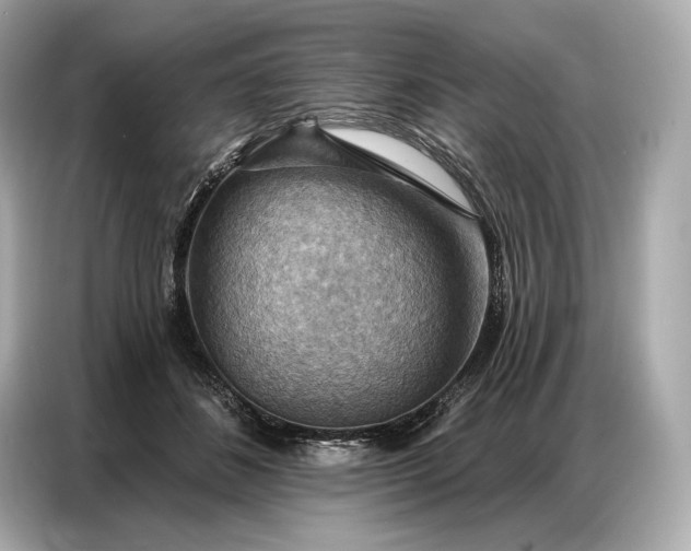 X0000086880508200704300939