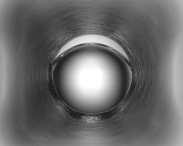 X0000086880512200704300939