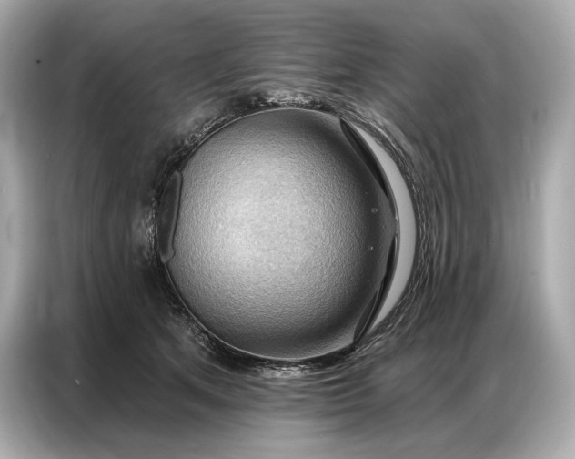 X0000086880513200704300939