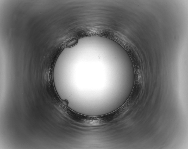 X0000086880514200704300939