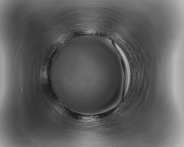 X0000086880516200704300939