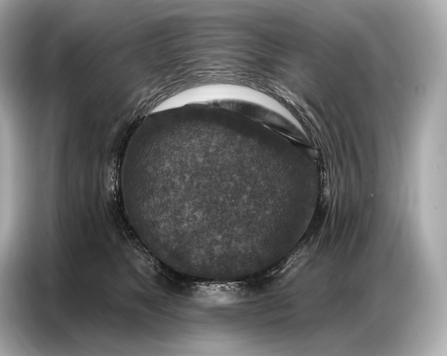 X0000086880517200704300939