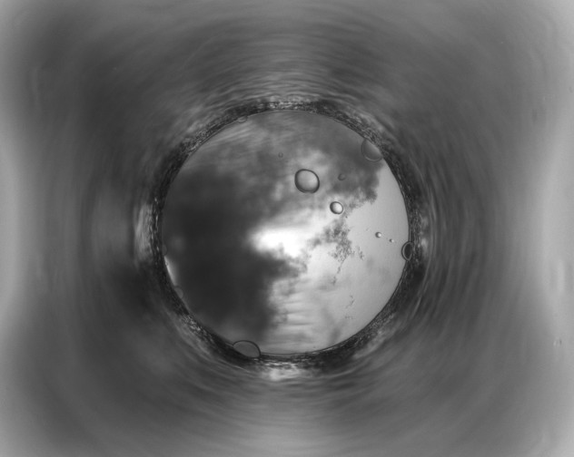 X0000086880519200704300939