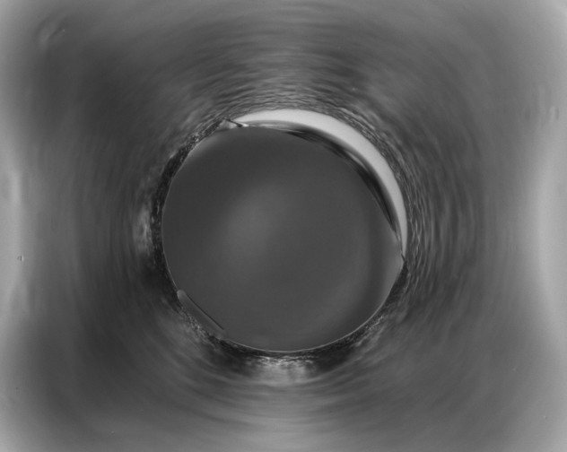 X0000086880520200704300939