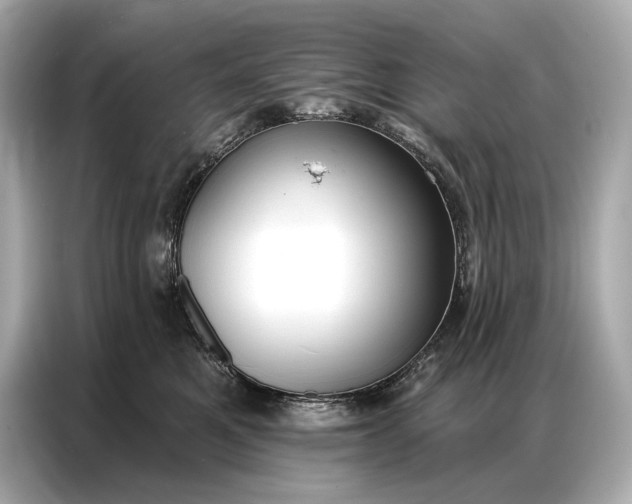 X0000086880521200704300939