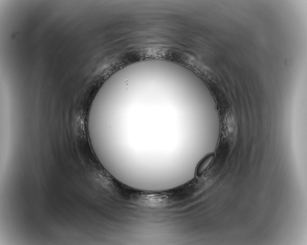 X0000086880522200704300939