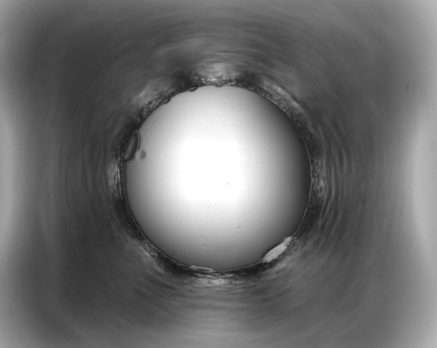 X0000086880523200704300939