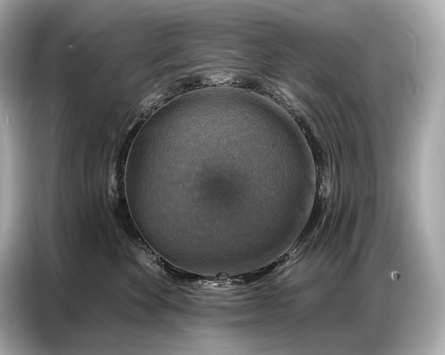 X0000086880524200704300939