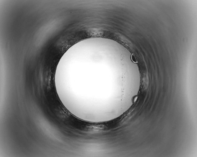 X0000086880525200704300939