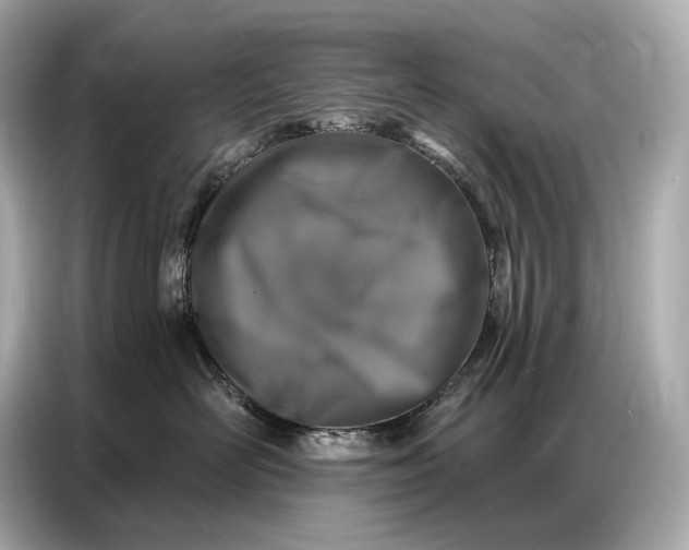 X0000086880526200704300939