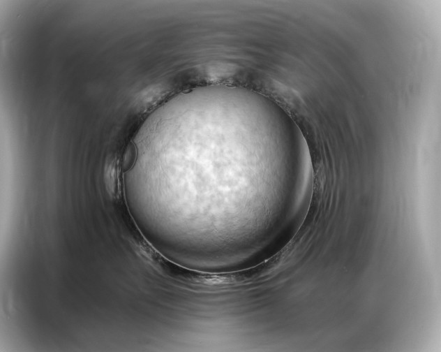 X0000086880527200704300939