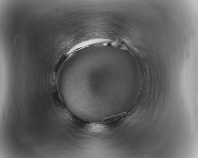 X0000086880528200704300939