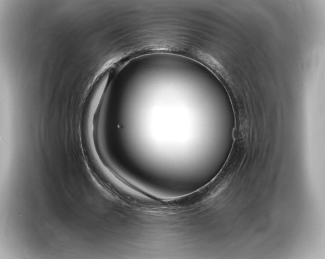 X0000086880530200704300939