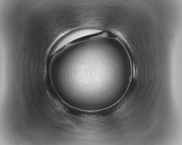 X0000086880531200704300939