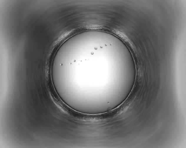 X0000086880533200704300939