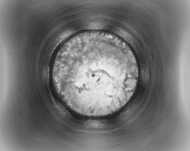 X0000086880534200704300939