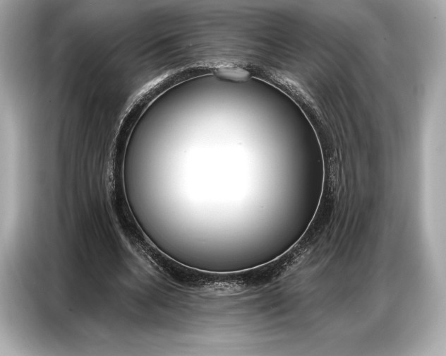 X0000086880536200704300939