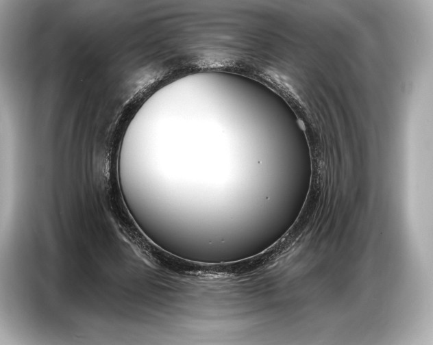 X0000086880539200704300939